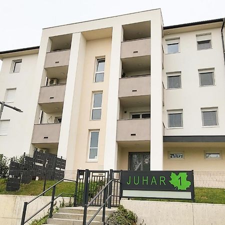 Juhar 1 Apartman Kőszeg Kültér fotó